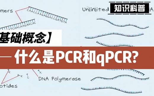 【生物学基础概念】什么是PCR和qPCR (中英文字幕)