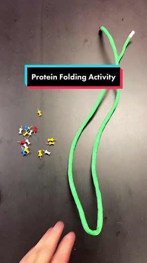 Understanding Protein Folding in Biology