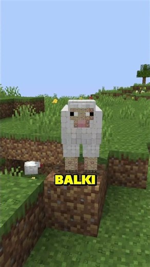 This Minecraft World Feels ILLEGAL 💀