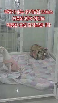안락사 없는 유기동물 보호소 동물의 왕국. 늘 따듯한 응원 감사드립니다