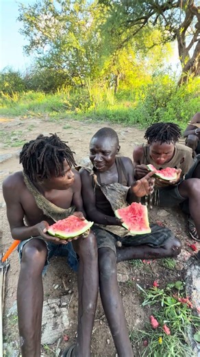 Hadzabe Tribe bushmen Chabba and brothers special moments trying watermelon first time in the bush 🥰