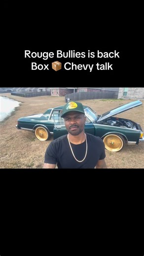 Eric Brown on Instagram: "Rouge Bullies is back…this is the real E…tap in…box Chevy talk🔥🔥🔥 @rougebullies2.0_backup #boxchevyworld #chevy #classic #carshow #fyp"