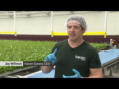 Canada’s First Fully Automated Greenhouse Will Blow Your Mind - Welcome to Haven Greens