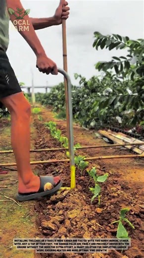 Revolutionizing Farming: The Ultimate Fast Bamboo Stake Driver Tool!