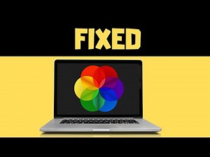 [SOLVED] FIX Lively Wallpaper App not Working or Opening in Windows 11