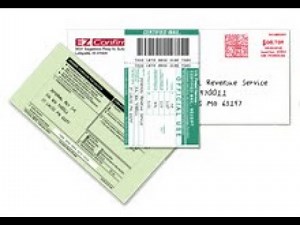 Walz EZ Confirm 2020