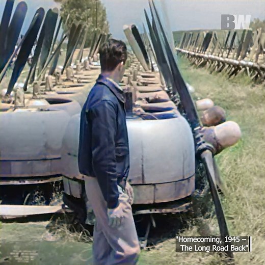 "War memories don’t van-ish – they just change their sha-pe." Part 2 An airplane skeleton. A life grounded. Memo-ries that still fly. WW2 HD Restoration #war #usnavy #pilot #history #fblifestyle #royalnavy #airforce #military | Navy Times Page