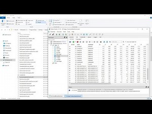 Customization of Standard Database: Part 3 – Database Transfer & New Section Catalogue || .db3 file