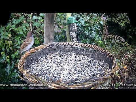 Futterstelle Oktober 2025