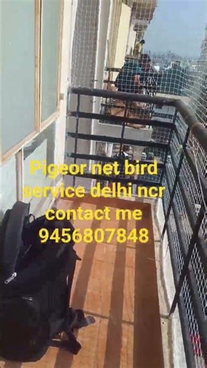 fast service bird net installation