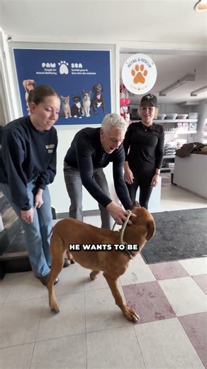 Kayne is ready to steal the spotlight — and your heart. 🐾