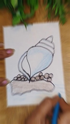 easy shell drawing 👆🏻👆🏻#art #drawing #diy #shorts #sea #wallhanging