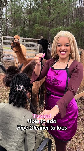 How to add Pipe Cleaners to Locs #fyp #locstylesforwomen | pipe cleaners on locs