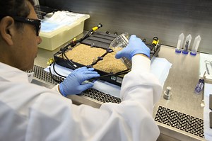 New Plant Habitat Will Increase Harvest on International Space Station - NASA