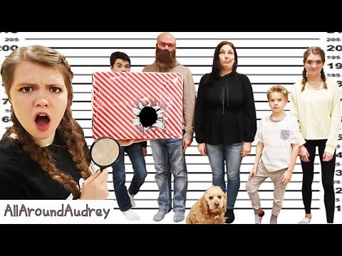 Detective Guesses Who Smashed The Present I AllAroundAudrey