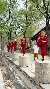 94K views · 25K reactions | Under the watchful eye of Master Shi Yan...