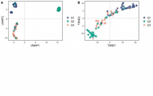 TSNE和UMAP两种机器学习降维算法聚类分析（转录组/代谢组/单细胞）