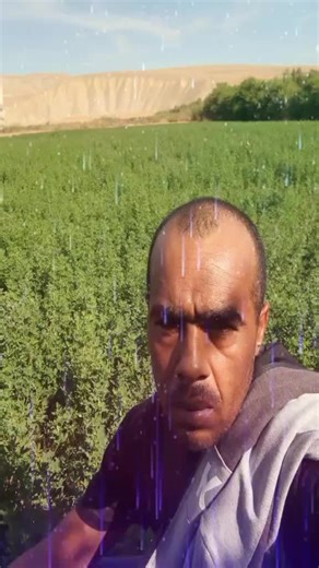 Vidéos de karim (@hossam5194760077571) avec son original - Cheb Akram Parisien