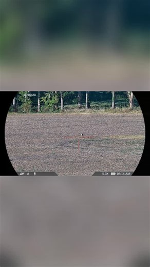 Day Night Technologies on Instagram: "Product Highlight: The Zulus HD V2 5-20R. This optic is built as a complete solution for shooters who want day & night capability without compromise. The Zulus HD V2 combines a high-resolution Sony Starvis 2 sensor, an integrated laser rangefinder, and onboard ballistic calculator to give you accurate ranging and corrected hold data in real time. Key Specs Resolution: 1920x1080 Frame Rate: 60Hz Magnification: 5-20x Waterproof: IP67 Recoil Rating: .50 BMG"