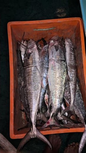 Fresh Seafood ASMR 🔪 Satisfying Fish Cutting Sounds #notalkingasmr #satisfyingasmr #fish #asmr