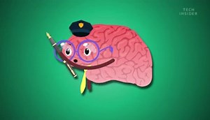 What happens to your brain and body when you procrastinate too much