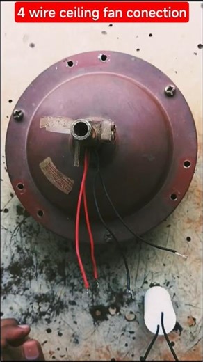 4 wire ceiling fan conection 🤔💯 #shorts#shortvideo #tranding#viral#electrical#electrician#knowledge