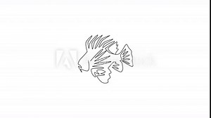 Animation of one single line drawing of terrifying lionfish for company logo. Underwater fish creature mascot concept for sea world show icon. Continuous line self draw animated. Full length motion.