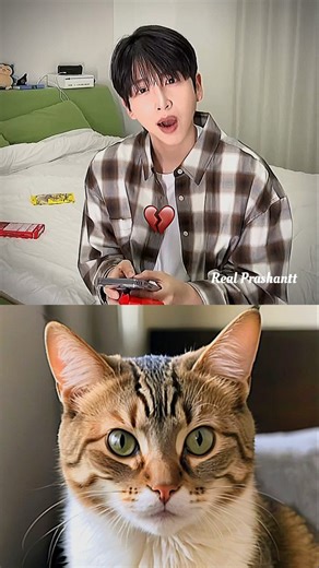 FUNNY MOMENT 🤣 #cat #meme #dance #trending