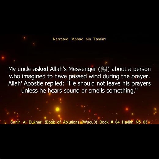 English Translation Hadith 03 I Sahih Al-Bukhari I Book of Ablution I Book 04