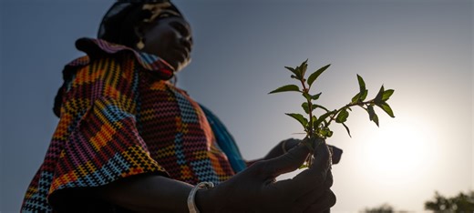 Five ways innovators are making farming easier on the planet