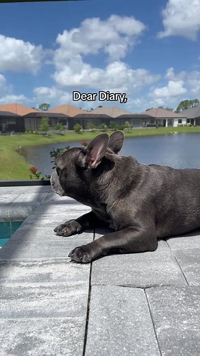 Dear Diary, part 2 | The Littleblueblee