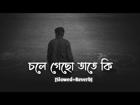 Chole Gecho Tate Ki | চলে গেছো তাতে কি | Lo-fi Mix (Slowed And Reverb) | Sad Music Bangla