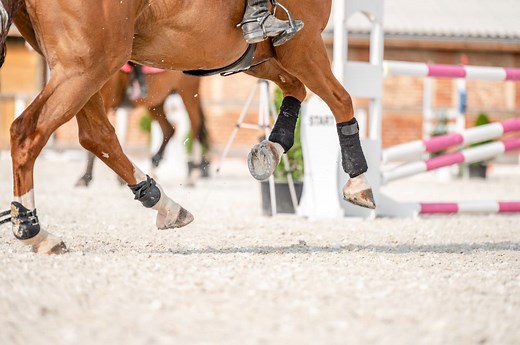 How to Choose The Right Horse Arena Sand Depth for Jumping