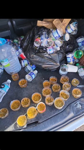 Save the ecosystem from collapsing In the aftermath of Hurricane Melissa, the ecosystem’s collapse is so severe that bees have no flowers to pollinate and no food to gather, putting the entire natural balance at risk. Without restoring these crucial pollinators, Jamaica could face a devastating drought. That’s why the Friends of Jamaica Non-Profit Tennis Academy and the Takuma Boutique Hotel are going through the community and placing bottles with sugar water to help the bees survive. In fact, b