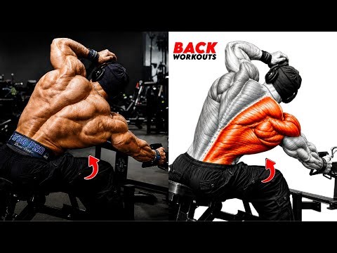 8 Insane Back Workouts to Build a Massive V-Taper, Wide & Thick Back 🔥