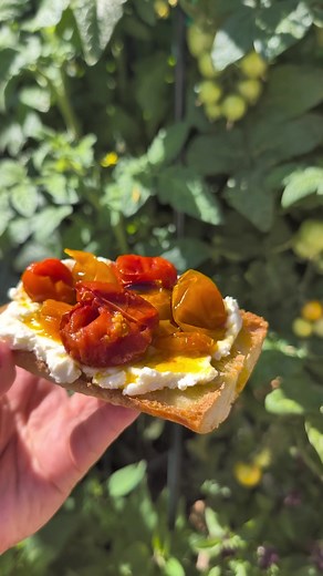 Cherry Tomato and Garlic Confit with Ricotta on Crusty Bread