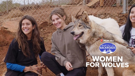 Women for Wolves: California sanctuary heals women and rescued wolf dogs | Bartell's Backroads
