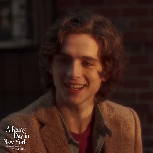 Timothee Chalamet - A Rainy Day in New York