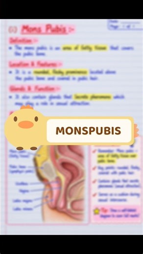 What is Mons Pubis? Definition, Function & Diagram#reproduction #nursing #notes #education #trending