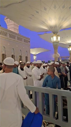 Surah -Ash_Sharh egzonibrahimi 🌹💚🙌 #namaz #islamic #islam #ziyarat #madina #shortsfeed