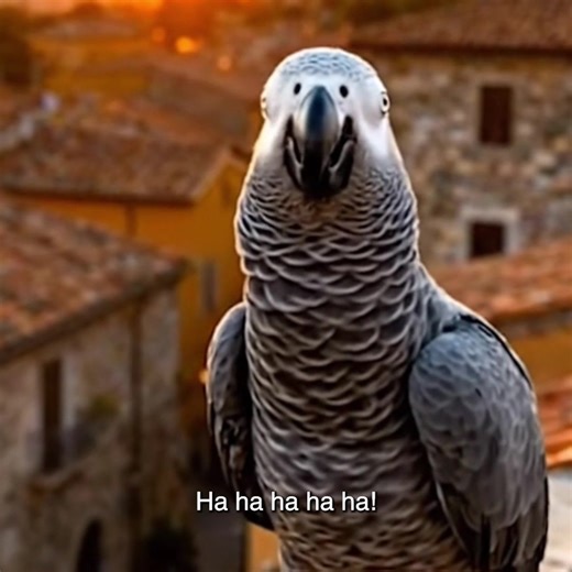 3M views · 2.3K reactions | The EU’s ‘Chat Control’ plan wants to scan your photos and messages on your device. | Global Encryption Coalition | Facebook