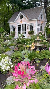 4 pink flowers blooming right now in the cottage gardens: 1 Cleome (annual) 2 Cosmos (annual) 3 Echinacea (perennial) 4 Incrediball Blush Hydrangea (perennial) I love these pretty pink flowers that bring such a fresh look to the gardens when other flowers are fading! Do you have these sweet plants in your gardens? • • #pinkflowers #pinkflowers🌸 #cottagegarden #cottagegardenlove #mycottage #mycottagegarden #englishcottagegarden #cottagegardening #cottagegardensamplings #gardensofinstagram #court