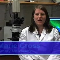 Video: Obtaining Eggs from Xenopus laevis Females