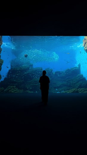 水族館で楽しむ深海少女の不思議な魅力