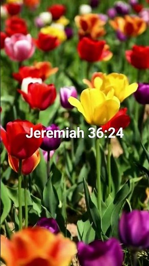 23.8.2026 Jeremiah 36 & 37