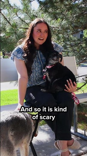 Protecting Senior Pets with Pet Care Insurance