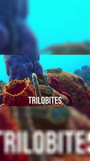 Des Pertes Colossales