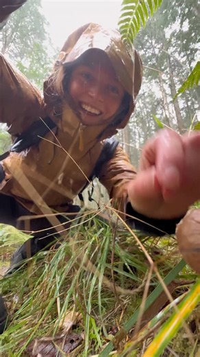 PUFFBALLS go PUFF! These beloved ground fungi are solid when young, but as they mature, they turn into a spore filled chamber that puffs out clouds of spores. This clever dispersal mechanism helps ensure the spores travel far when they get knocked by raindrops. The species featured in this video is the pear-shaped puffball (Lycoperdon pyriforme), named for its small shape that resembles a pear. Some puffballs, like the giant puff ball (Calvatia gigantea), can grow to over a foot in diameter! #fu