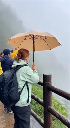 Monkey steals the Umbrella and gone with the wind 🙊 🍃 ☔ | Cloud of Curiosity