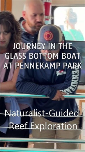 Inside John Pennekamp Coral Reef State Park, Pennekamp Glass Bottom Boat 🌊 #Shorts